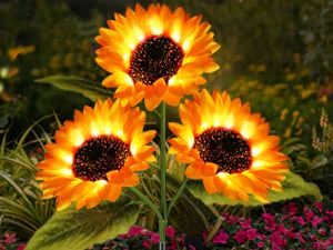 FloralGlow - Solare LED Girasole Giardino Luci - Image 5